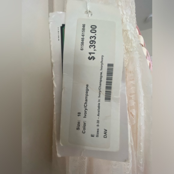 Davinci Wedding Gown - Picture 9 of 9